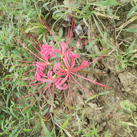 ������ô�ÿ���ȴ����ô���˵Ļ��������