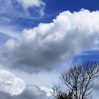 ����µ����롣����