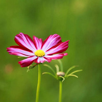 7��12�հ������빫԰����