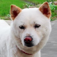 �ֻ����㣺��ã�Ĺ�