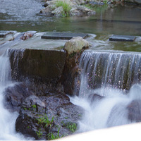 ����� ���ſڵ����˾�ɫ