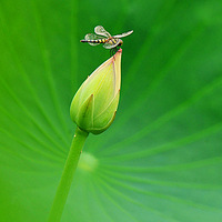 ����֮��