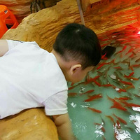 Ҳõ뿿ץ