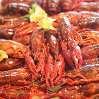 ���Ƹ��Ϻ����ϺС��