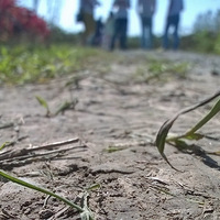 ���Դ�С�ӽ��������������