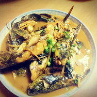 �����ڳ���������ƪ