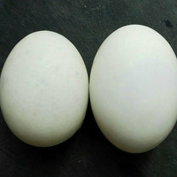 �̵��Ƴ��Ϲ�