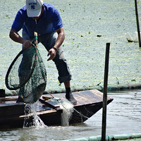 �Ϻ�������