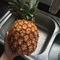 �����ڼҵ����ӡ�