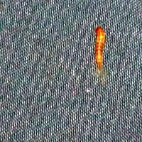 �����ڵĺ��ĳ����� ���и���С�ڳ�