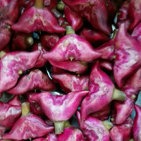 ������������һ���峴����Գ�