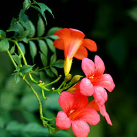 ��վ·����������