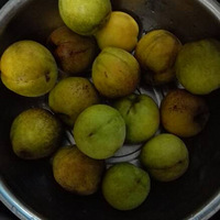 ���ƻ��ҹ�ͷ