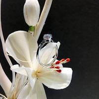 ��лů����İ���