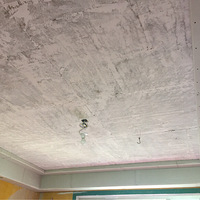 ����PU��������ʵ�������Ż�԰