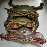 ����з����ã������ǡ���պպ������