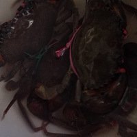 �������ԼҲˡ�----������з�����