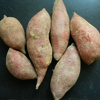 �������˳�