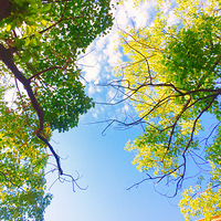 �⼸��������ð�