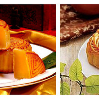 APP����ɹ������ʳ Ӯ������Ʒ��