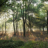 ��Ұ����-�Ϻ�����