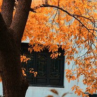 ����  ��ʱ  �Ǿ�