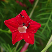 �������