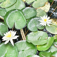 ��������ʱ�� ����÷���