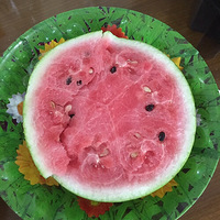 �����е�С����