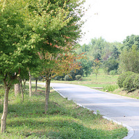 �����º�