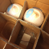 ����С���ˮ����Ҭ�ӷ�ù��Ҭ�������е��֣�����̬�������ĺ���