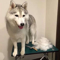 ��һͬѧ������ƷƷ����Сѧʱһ����ʦ����