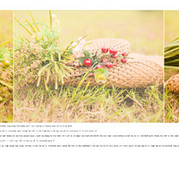 ����������Ц������