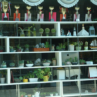 ���е�����