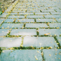 ���¾��ã��������ȣ����������������£�ҹ