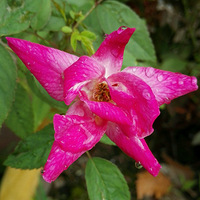 �����Ǿޱ��