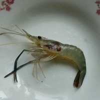 ��������Ϻ��������Ϻӡ����һ��Գ�