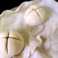 õ�廨��ͷ��ӭ����