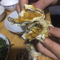 ������Ĳ���