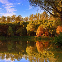 �Ϻ�����