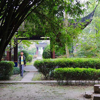 ����ͤ���糿