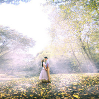 ��л��Է��Ӱ����ɴ��˳����ɣ�����һ���Σ����Ĳ������~