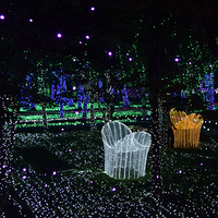 ���š�÷���޵ƹ��㡱