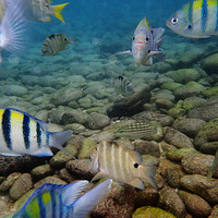 �ռ���֮--�Ųʺ������磬�ĵ��˶���