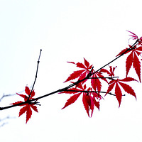 ���³�У����������һȦ����ʫһ���׳�