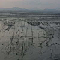 ϼ������