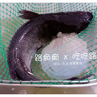 ��·�ճյĳԳ�·��������Ҳ磬�Ҷ��о�ϲ