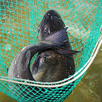 ��ҵ�Ŀ��㱻���ع�����