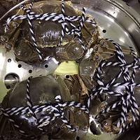 ������Զ�����������ֺ�����