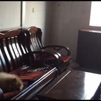 ������а�ܺ���